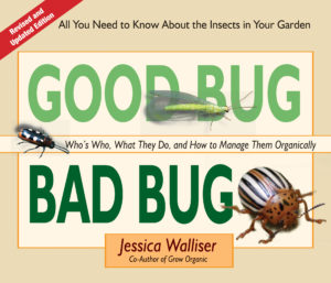 Good bug bad bug book